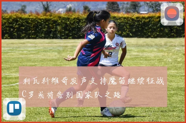 利瓦科维奇发声支持魔笛继续征战C罗或将告别国家队之路